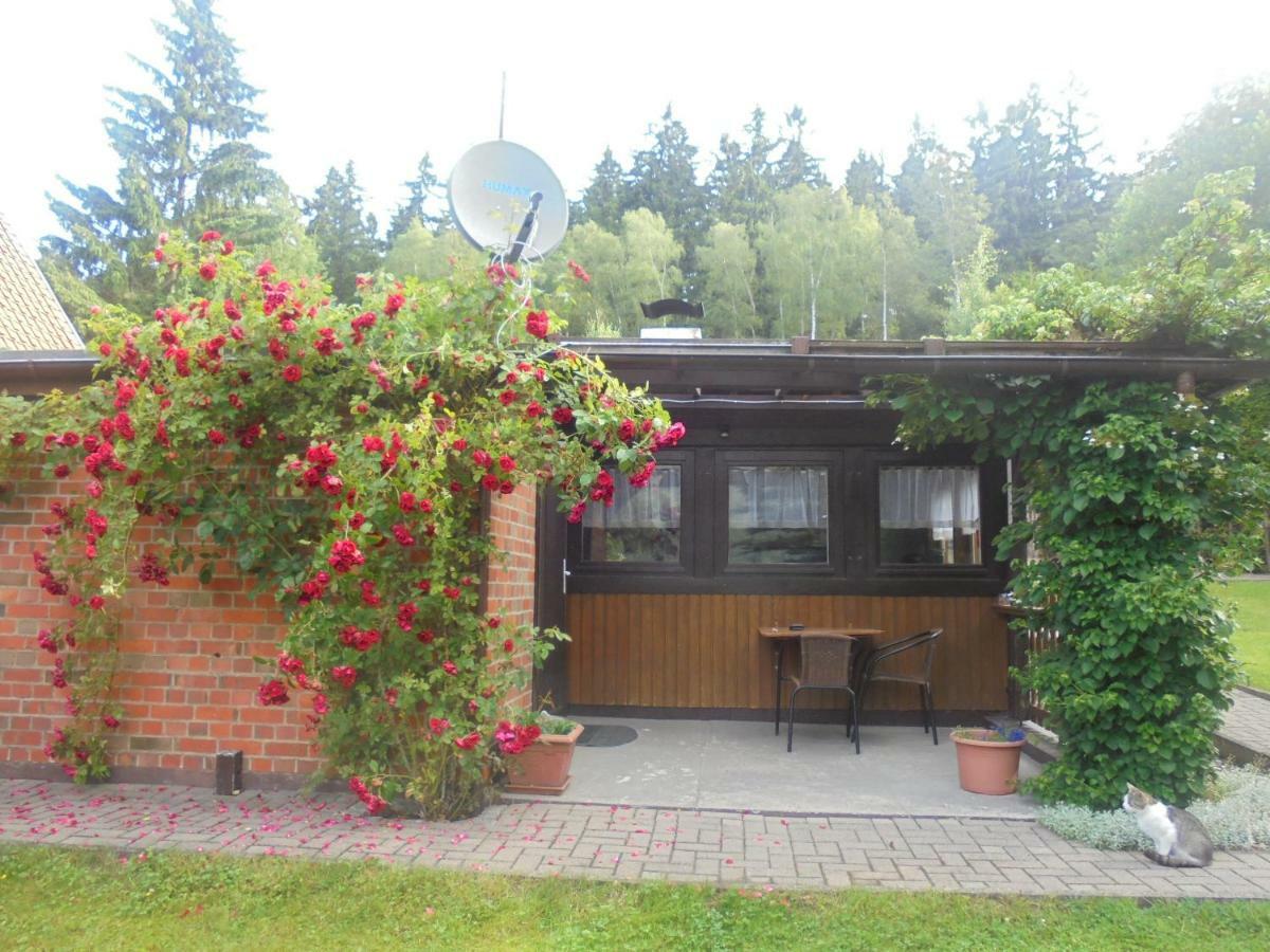 Bergfreiheit Vila Schierke Exterior foto